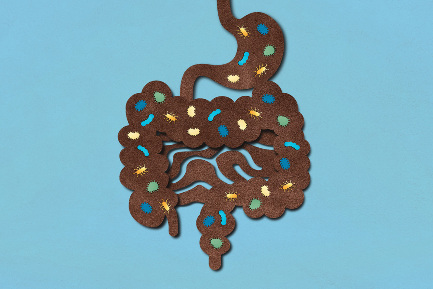 Читать статью "Бактерии в кишечнике влияют на характер"