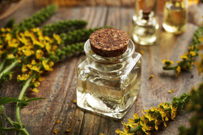 Читать статью Чем полезен репешок и как его применять?