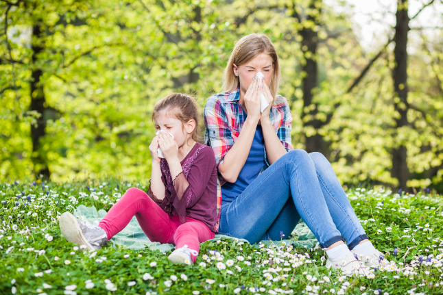 Чем отличается аллергический кашель — основные симптомы