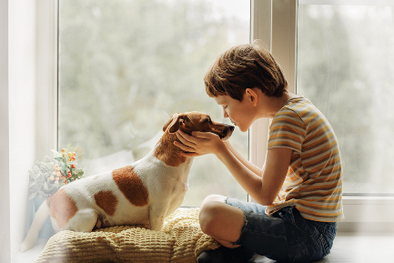 Читать статью Домашние животные снижают риск пищевой аллергии у детей