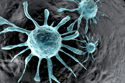 Читать статью "Коварные опухоли: раковые клетки способны впасть «в спячку» во время химиотерапии"