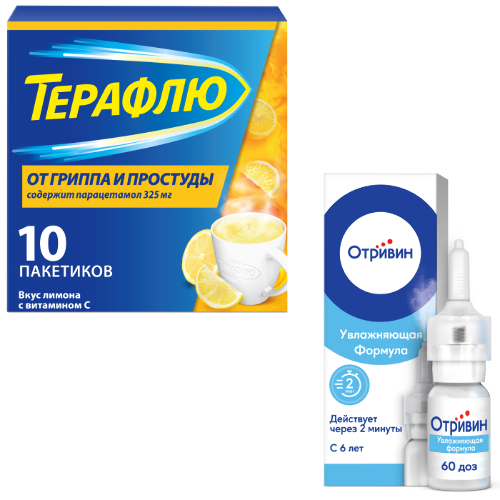 Набор ТЕРАФЛЮ ОТ ГРИППА И ПРОСТУДЫ N10 ПАК ПОР/ЛИМОН + ОТРИВИН 140МКГ/ДОЗА 10МЛ(60ДОЗ) СПРЕЙ НАЗАЛ ДОЗИР закажи со скидкой 15%