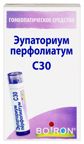 Купить Эупаториум перфолиатум с30 гомеопатический монокомпонентный препарат растительного происхождения 4 гр гранулы гомеопатические цена