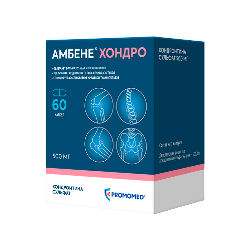 Амбене хондро 500 мг 60 шт. капсулы - цена 1336 руб., купить в интернет аптеке в Челябинске Амбене хондро 500 мг 60 шт. капсулы, инструкция по применению