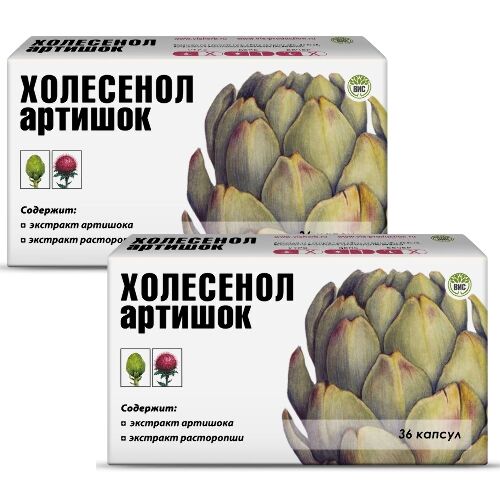 Набор из 2-х уп ХОЛЕСЕНОЛ АРТИШОК N36 КАПС