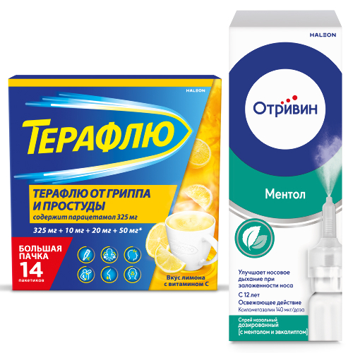 Набор Терафлю от гриппа и простуды N14 пак пор/лимон + Отривин 140мкг/доза 10мл спрей назалс ментолом/эвкалиптом со скидкой 15%