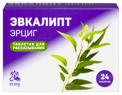 ЭВКАЛИПТ ЭРЦИГ