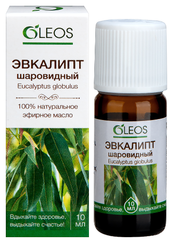 Oleos масло эфирное эвкалипт шаровидный 10 мл