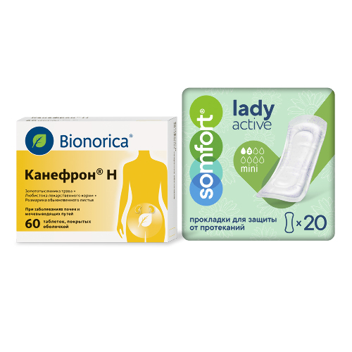 Набор Канефрон Н №60 + Somfort прокладки женские впитывающие lady active mini №20 со скидкой