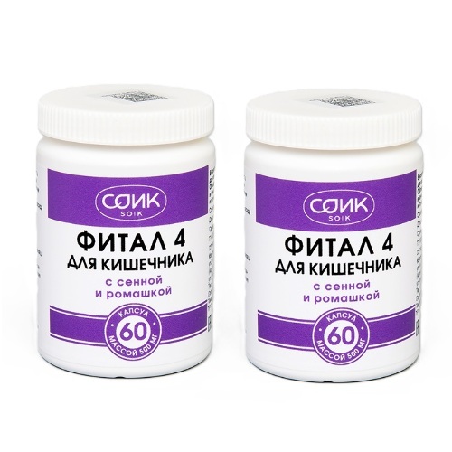 Набор из 2-х уп СОИК ФИТАЛ4 Д/КИШЕЧНИКА N60 КАПС со скидкой