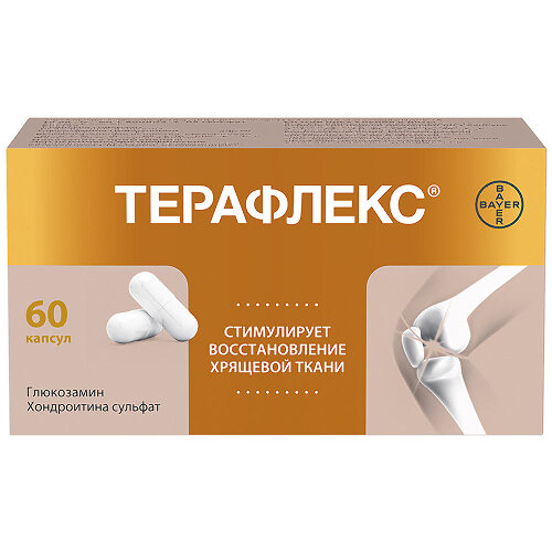 Терафлекс 500 мг + 400 мг 60 шт. капсулы