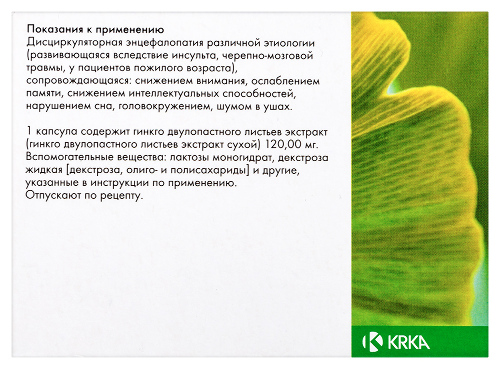 БИЛОБИЛ ИНТЕНС 120