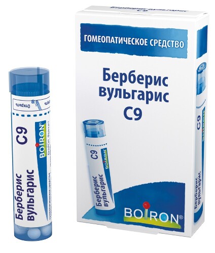 Купить Берберис вульгарис с9 гомеопатический монокомпонентный препарат растительного происхождения 4 гр гранулы гомеопатические цена