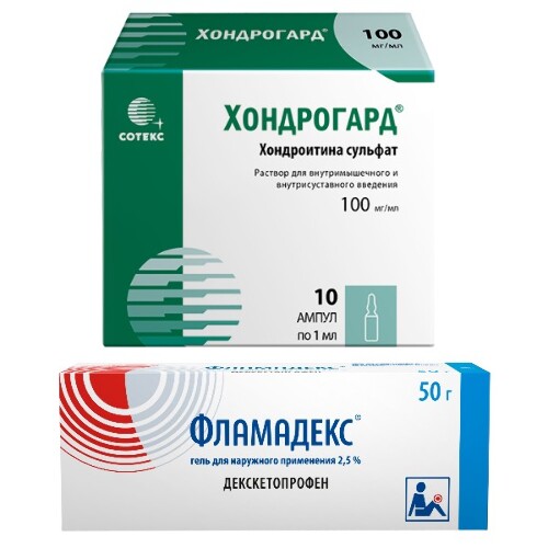 Набор Хондрогард р-р в/м в/суст 100мг/мл 1мл №10 амп + Фламадекс гель 50г - со скидкой