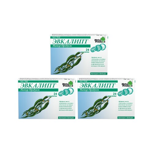 Набор из 3-х упаковок Эвкалипт Пастилки 24 по специальной цене