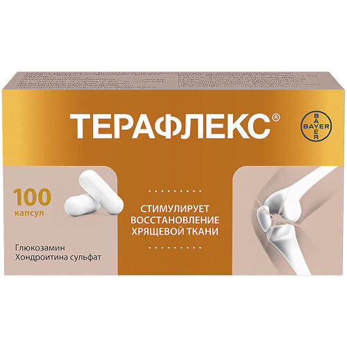 Терафлекс 500 мг + 400 мг 100 шт. капсулы