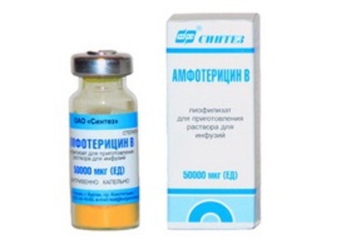 Амфотерицин в 50000 ЕД флакон лиофилизат для приготовления раствора 10 мл