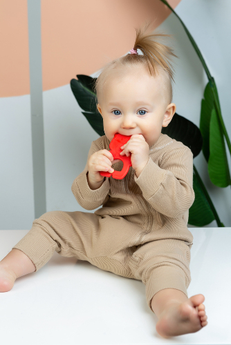 Пома прорезыватель медведь 4+