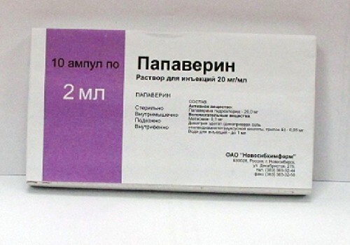 Папаверин 20 мг/мл раствор для инъекций 2 мл ампулы 10 шт.