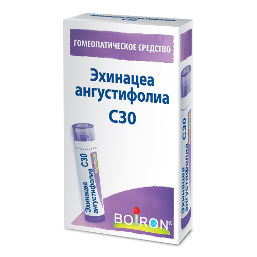 Купить Эхинацеа ангустифолиа с30 гомеопатический монокомпонентный препарат растительного происхождения 4 гр гранулы гомеопатические цена
