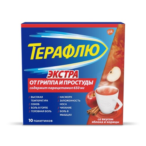 Купить ТЕРАФЛЮ ОТ ГРИППА И ПРОСТУДЫ ЭКСТРА N10 ПАКЕТ ПОР Д/Р-РА Д/ПРИЕМА ВНУТРЬ/КОРИЦА/ЯБЛОКО цена
