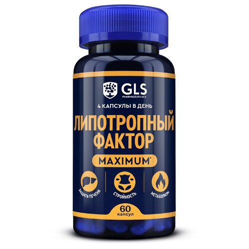 Купить Gls липотропный фактор maximum 60 шт. капсулы массой 750 мг цена