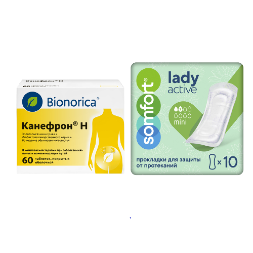 Набор Канефрон Н №60 + Somfort прокладки женские впитывающие lady active mini №10 со скидкой