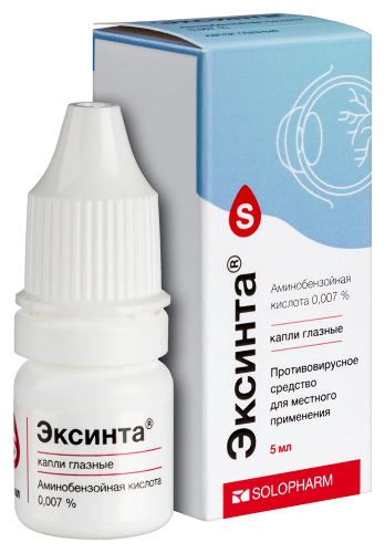 ЭКСИНТА