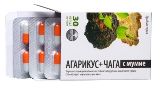АГАРИКУС+ЧАГА С МУМИЕ ГРИБНАЯ СЕРИЯ