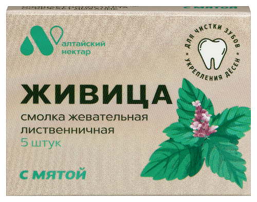 Живица смолка жевательная из смолы лиственницы 5 шт./с мятой/