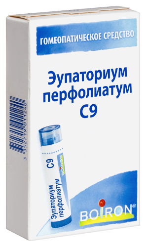 ЭУПАТОРИУМ ПЕРФОЛИАТУМ С9 ГОМЕОПАТ МОНОКОМП ПРЕПАРАТ РАСТИТ ПРОИСХОЖД
