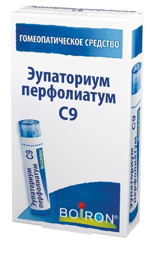 Купить Эупаториум перфолиатум с9 гомеопатический монокомпонентный препарат растительного происхождения 4 гр гранулы гомеопатические цена