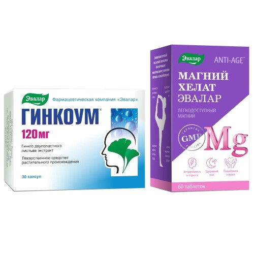 Набор ГИНКОУМ капсулы 120мг №30 + МАГНИЙ ХЕЛАТ ЭВАЛАР таблетки №60 ...