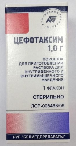 Цефотаксим 1000 мг порошок для приготовления раствора флакон 1 шт.