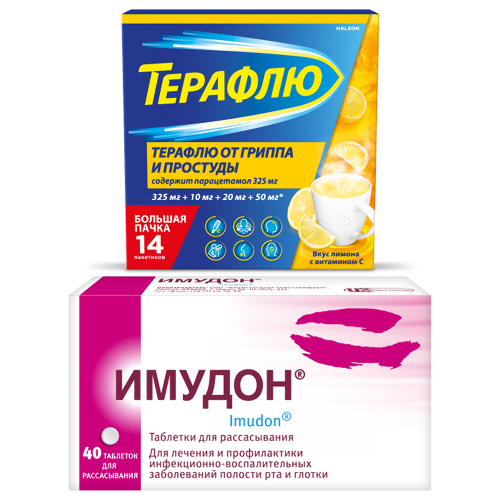 Набор из 1 уп Имудон 40 шт. таблетки  + Терафлю от гриппа и простуды 325 мг + 10 мг + 20 мг + 50 мг порошок 14 шт. вкус лимон