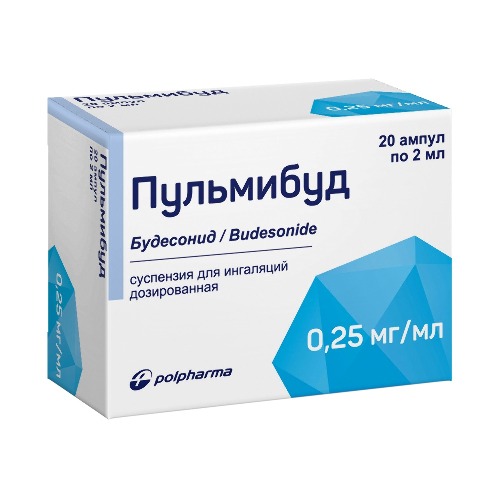 ПУЛЬМИБУД