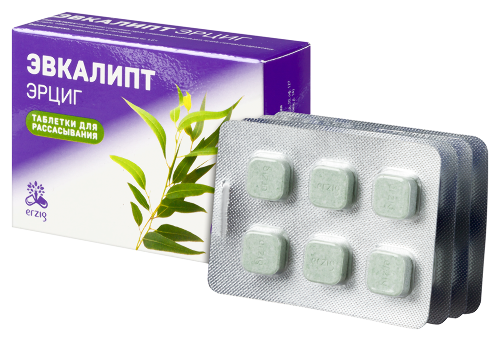 ЭВКАЛИПТ ЭРЦИГ