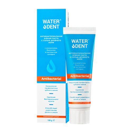 Купить Waterdent зубная паста антибактериальная с солью древнего моря 100 гр цена