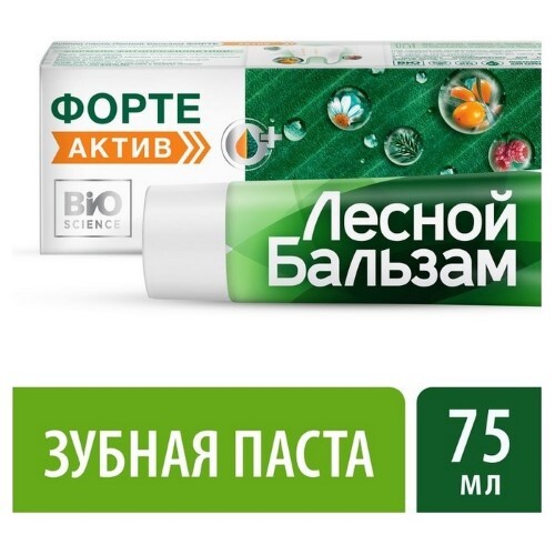 Купить ЛЕСНОЙ БАЛЬЗАМ ЗУБНАЯ ПАСТА ФОРТЕ АКТИВ 75МЛ цена