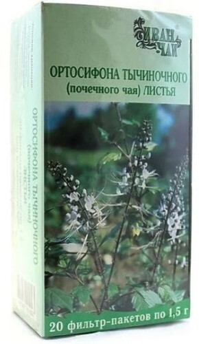 Купить Ортосифона тычиночного (почечного чая) листья 1,5 гр 20 шт. фильтр-пакеты цена