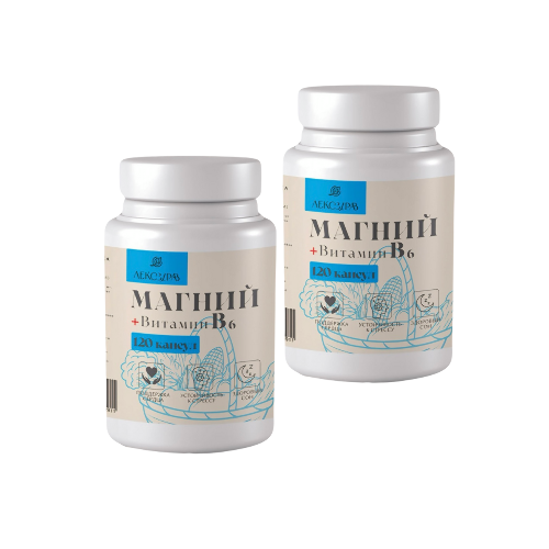 НАБОР ИЗ 2 УП. ЛЕКСЗДРАВ МАГНИЙ+ВИТАМИН В 6 120 КАПС. ПО СПЕЦ ЦЕНЕ