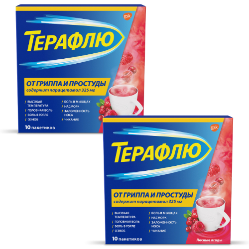 Набор из 2-х уп Терафлю от гриппа и простуды №10 пак пор /ЛЕСНЫЕ ЯГОДЫ/ со скидкой 25%