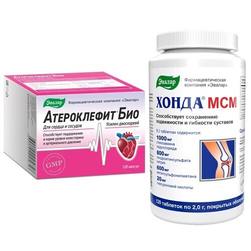 Набор АТЕРОКЛЕФИТ БИО N120 КАПС + ХОНДА МСМ N120 ТАБЛ ПО ПО 2,0