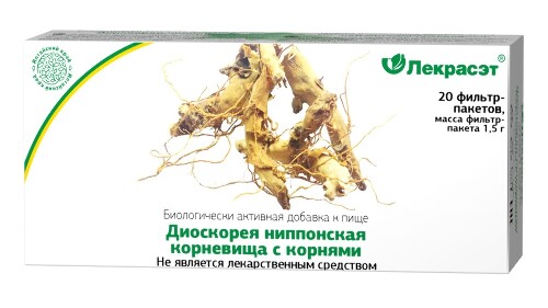 ДИОСКОРЕЯ НИППОНСКАЯ КОРНЕВИЩА С КОРНЯМИ