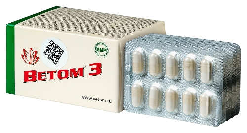 ВЕТОМ 3