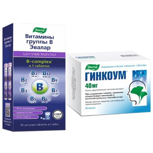 Набор ЭВАЛАР ВИТАМИНЫ ГРУППЫ В таблетки шипучие 30шт. + ГИНКОУМ 40мг капсулы 90шт.