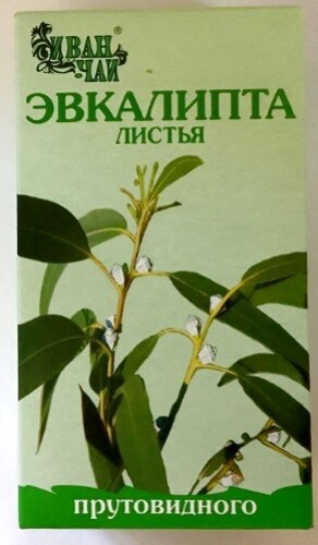 Эвкалипта прутовидного листья 50 гр