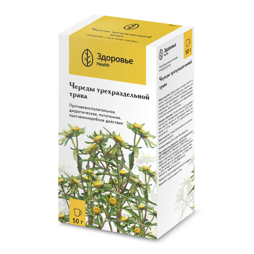 ЧЕРЕДЫ ТРЕХРАЗДЕЛЬНОЙ ТРАВА