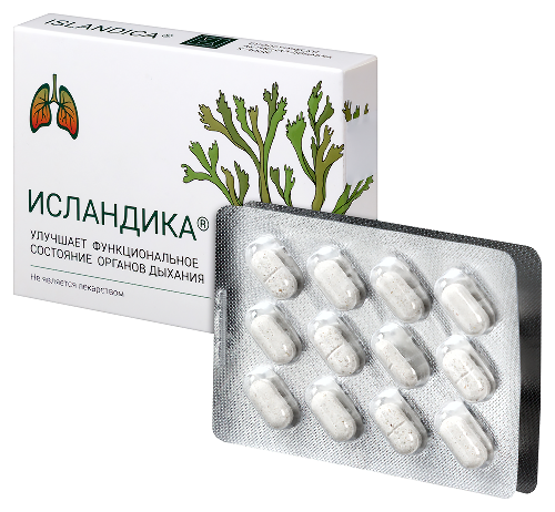 ИСЛАНДИКА