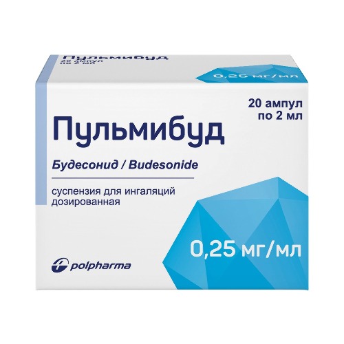 Пульмибуд 250 мг/мл суспензия для ингаляций 2 мл ампулы 20 шт.